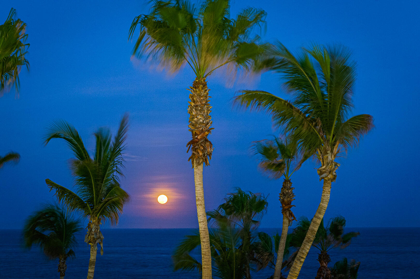 Villas del Mar 212 6