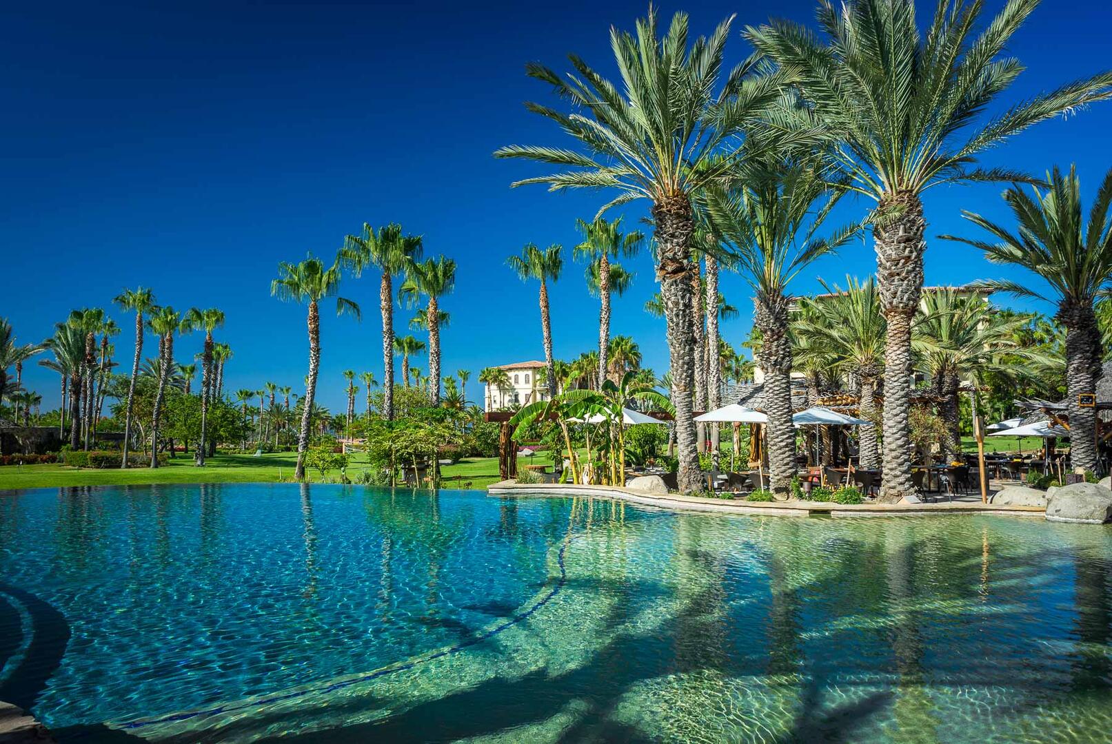 Esperanza Las Estrellas 2603