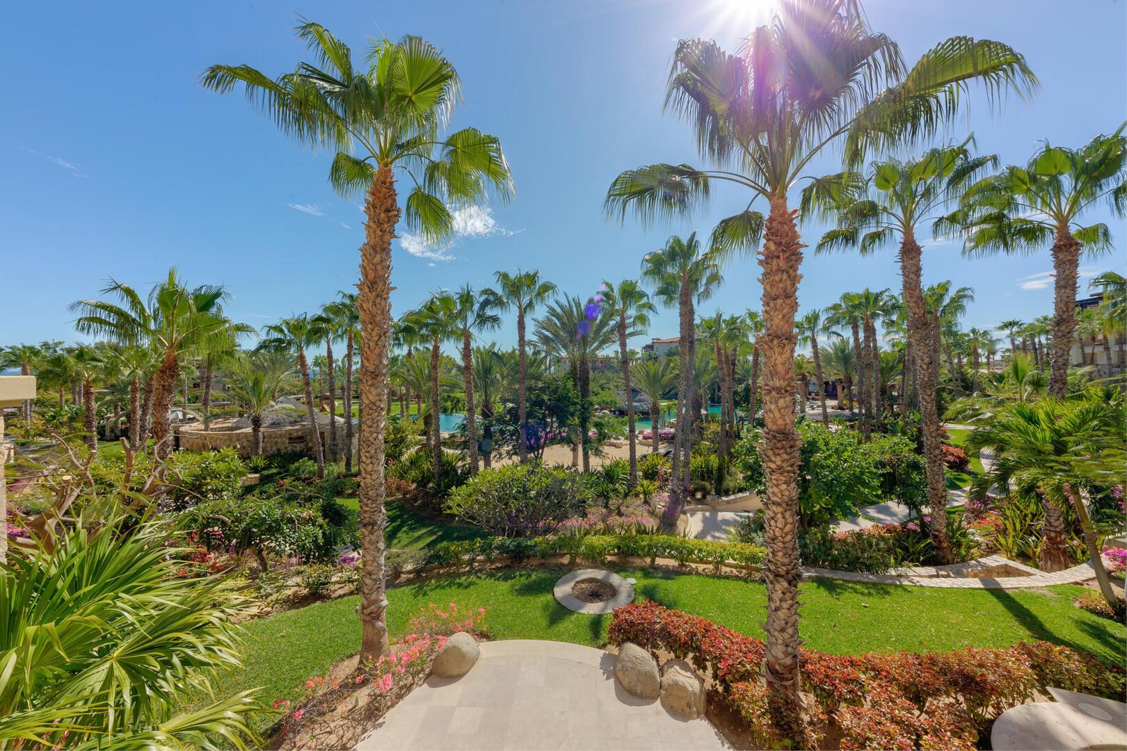 Esperanza Las Estrellas 2603 4